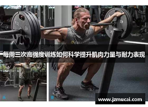 每周三次高强度训练如何科学提升肌肉力量与耐力表现
