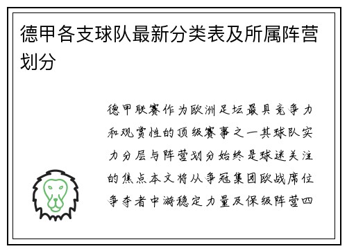 德甲各支球队最新分类表及所属阵营划分